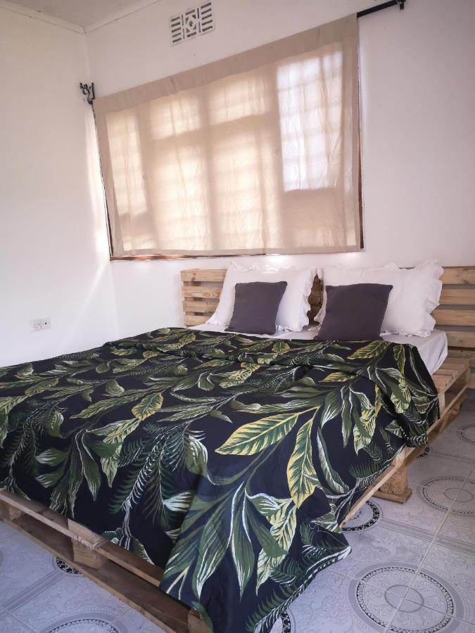 Safari Adventures-House Bed and Breakfast Αρούσα Εξωτερικό φωτογραφία